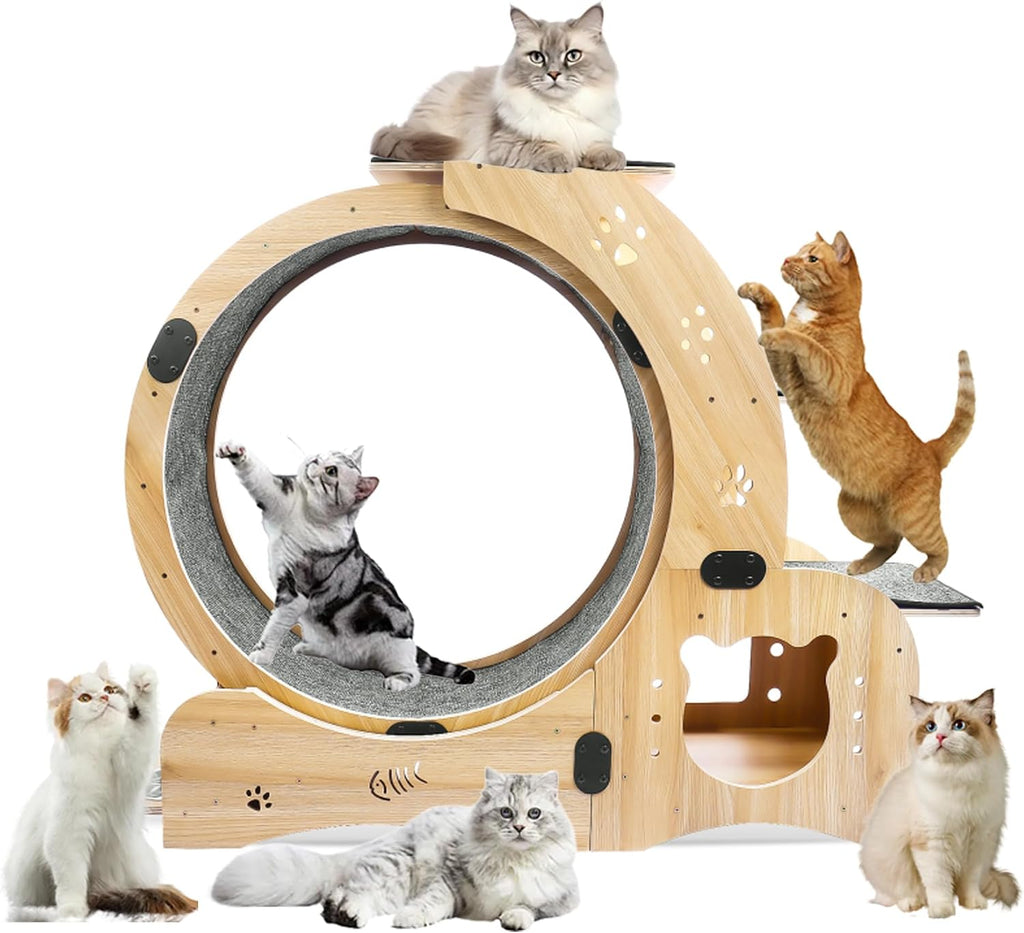 Upgraded 6-In-1 Cat Exercise Wheel: Large Silent Treadmill for Indoor Cats, Ideal Furniture and Toy for Endless Fun and Fitness