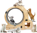 Upgraded 6-In-1 Cat Exercise Wheel: Large Silent Treadmill for Indoor Cats, Ideal Furniture and Toy for Endless Fun and Fitness