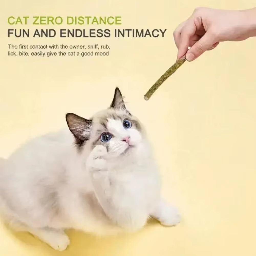 6-Piece Natural Matatabi Cat Sticks - Silvervine Chew Toys for Dental Care and Playtime