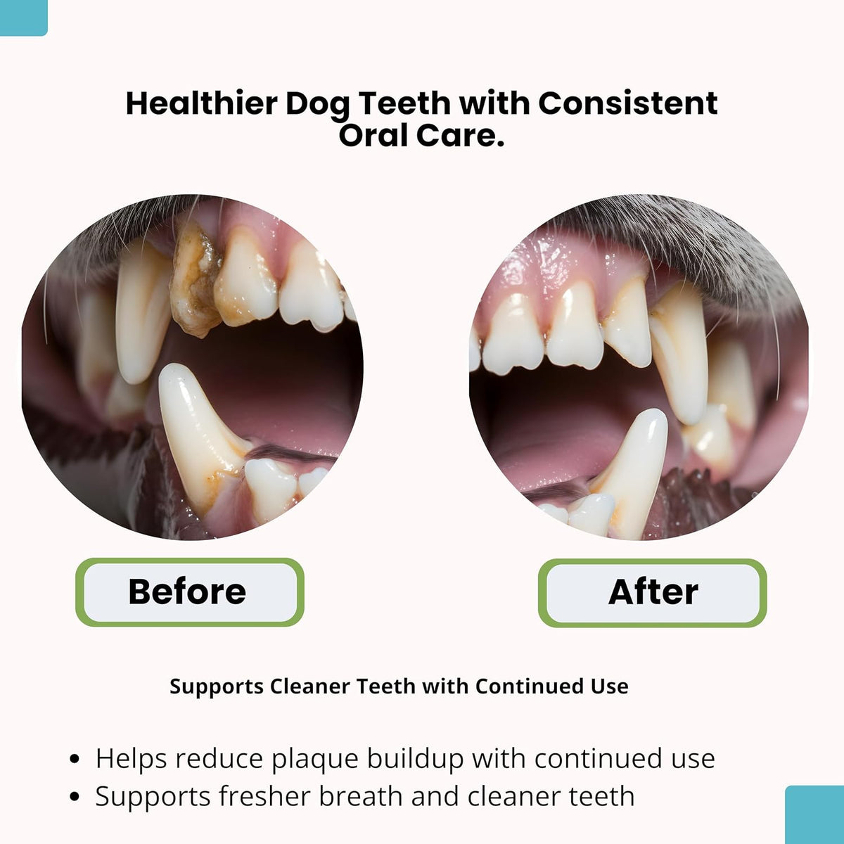 Dog Dental Powder - Teeth Cleaning and Plaque Tartar Support for Fresh Breath and Oral Health - Natural Brown Algae Formula - 30-Day Supply (150G)