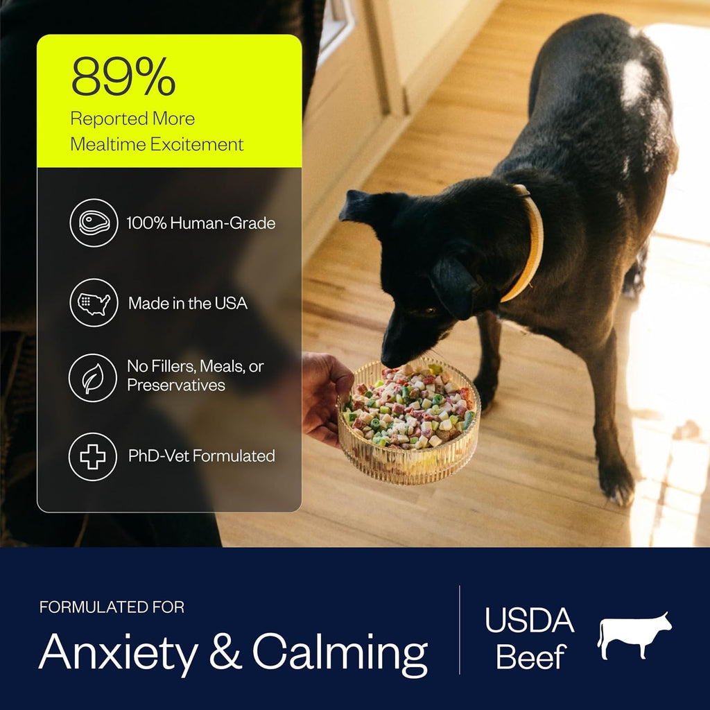 Premium Frozen Fresh Beef Dog Food for Anxiety Relief, 30 Lb