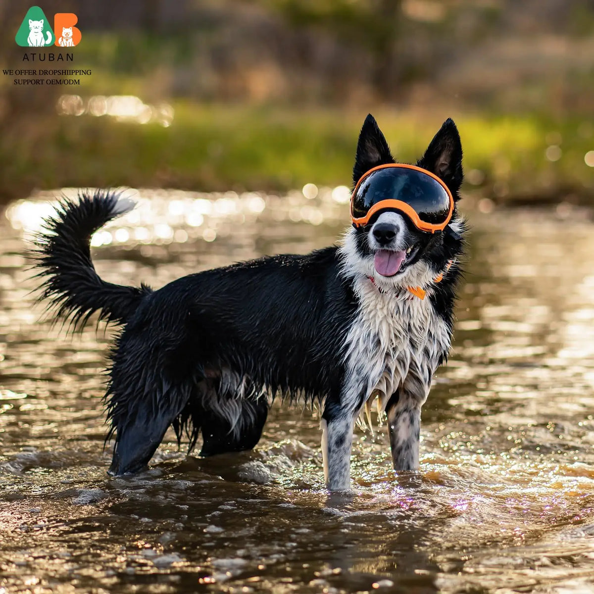 Dog Sunglasses with UV Protection and Adjustable Strap - Ski Goggles for Pets