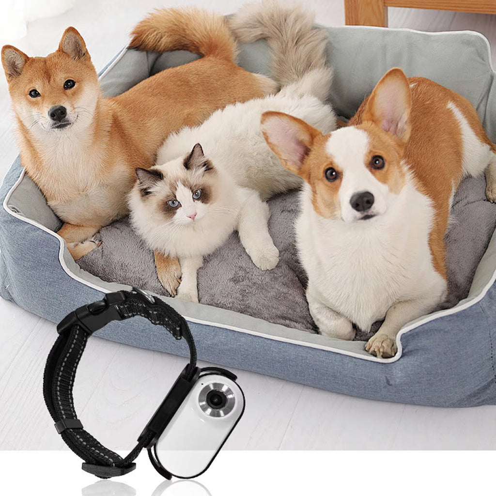 Pet Collar Camera with 120° Lens, OTG Connection, Adjustable Magnetic Design for Outdoor Use - Ideal for Dogs and Cats