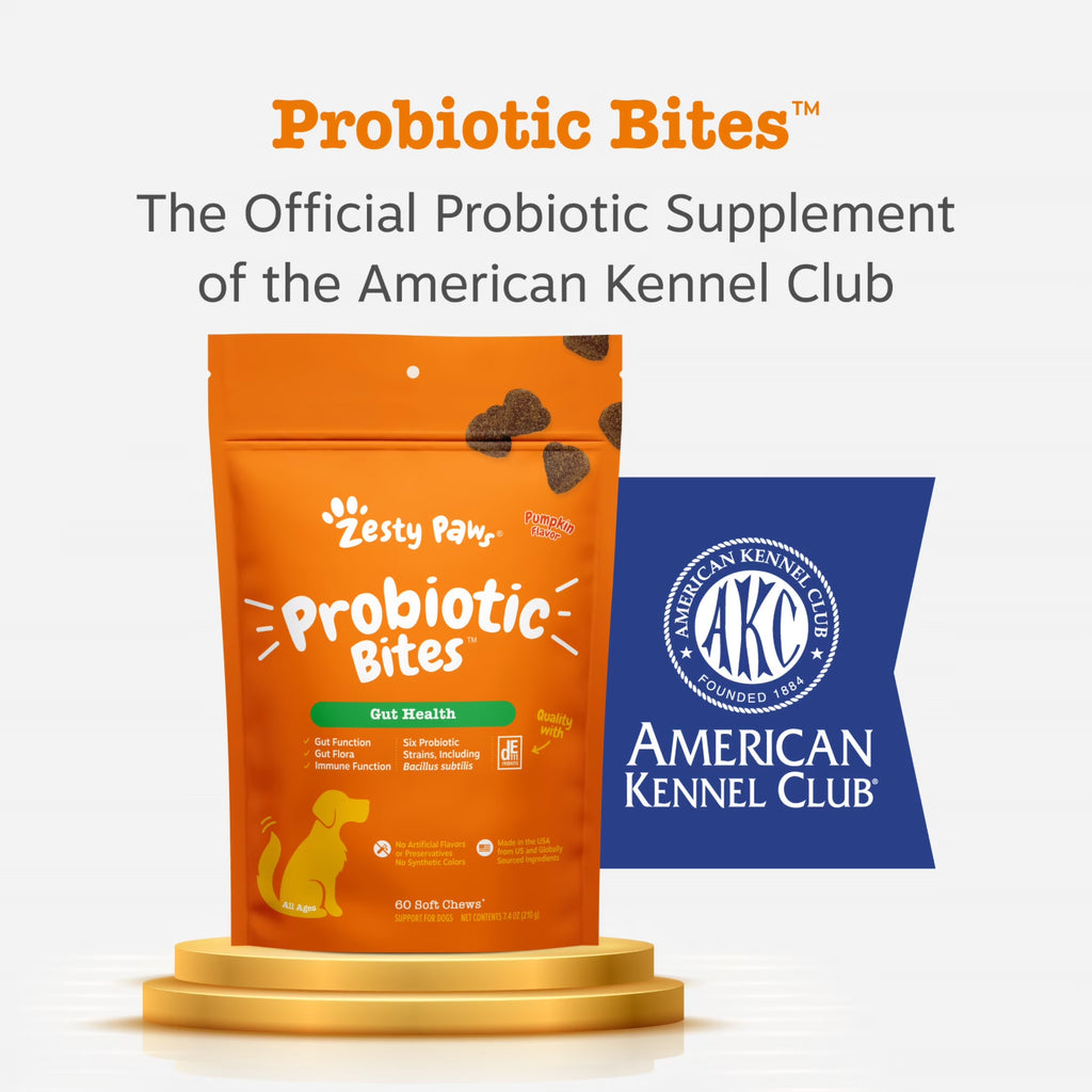 Pumpkin Flavor Probiotic Bites for Dogs, 60 Count Supplement