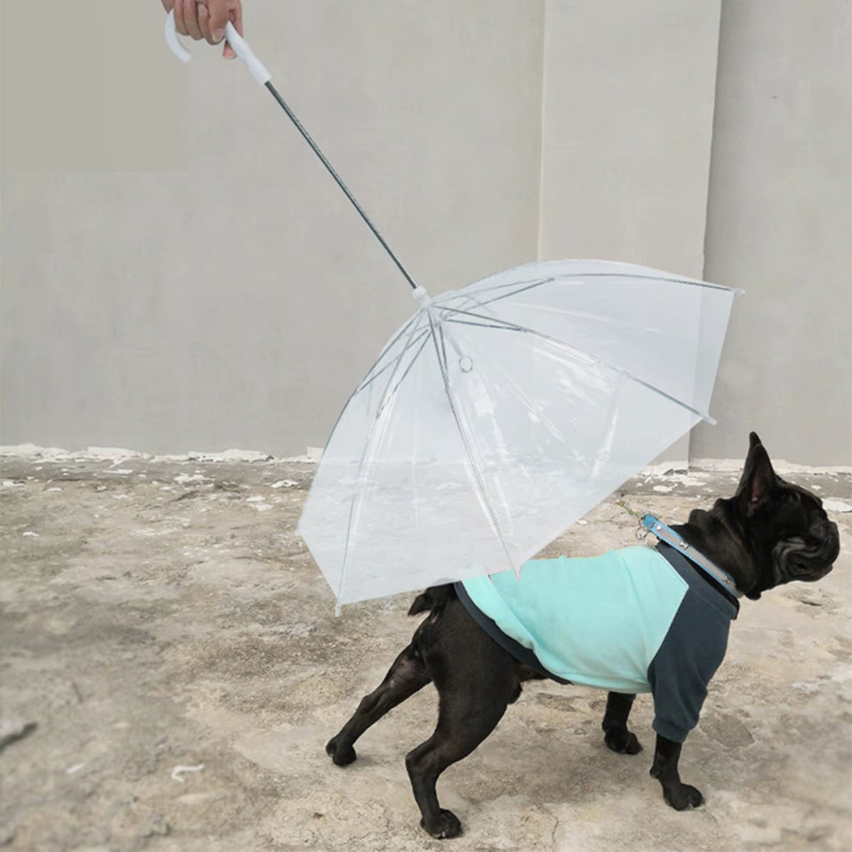 Pet Umbrella with Leash Clear Cover Rainproof Snowproof Walking Puppy Doggy Umbrella Adjustable for Small Dogs Dog Umbrella
